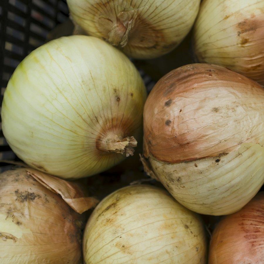 Brown Onions