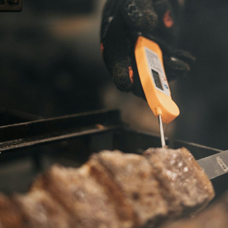Digital Probe Thermometer