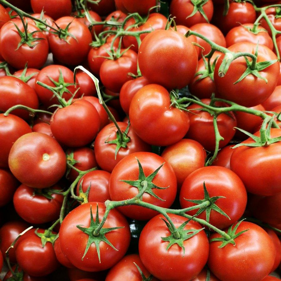 Vine Tomatoes